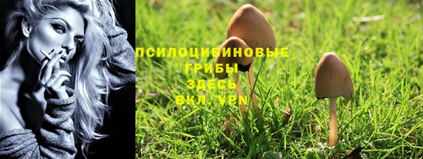 крисы Верхнеуральск